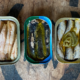 Sardines: The Fish Your Body Craves